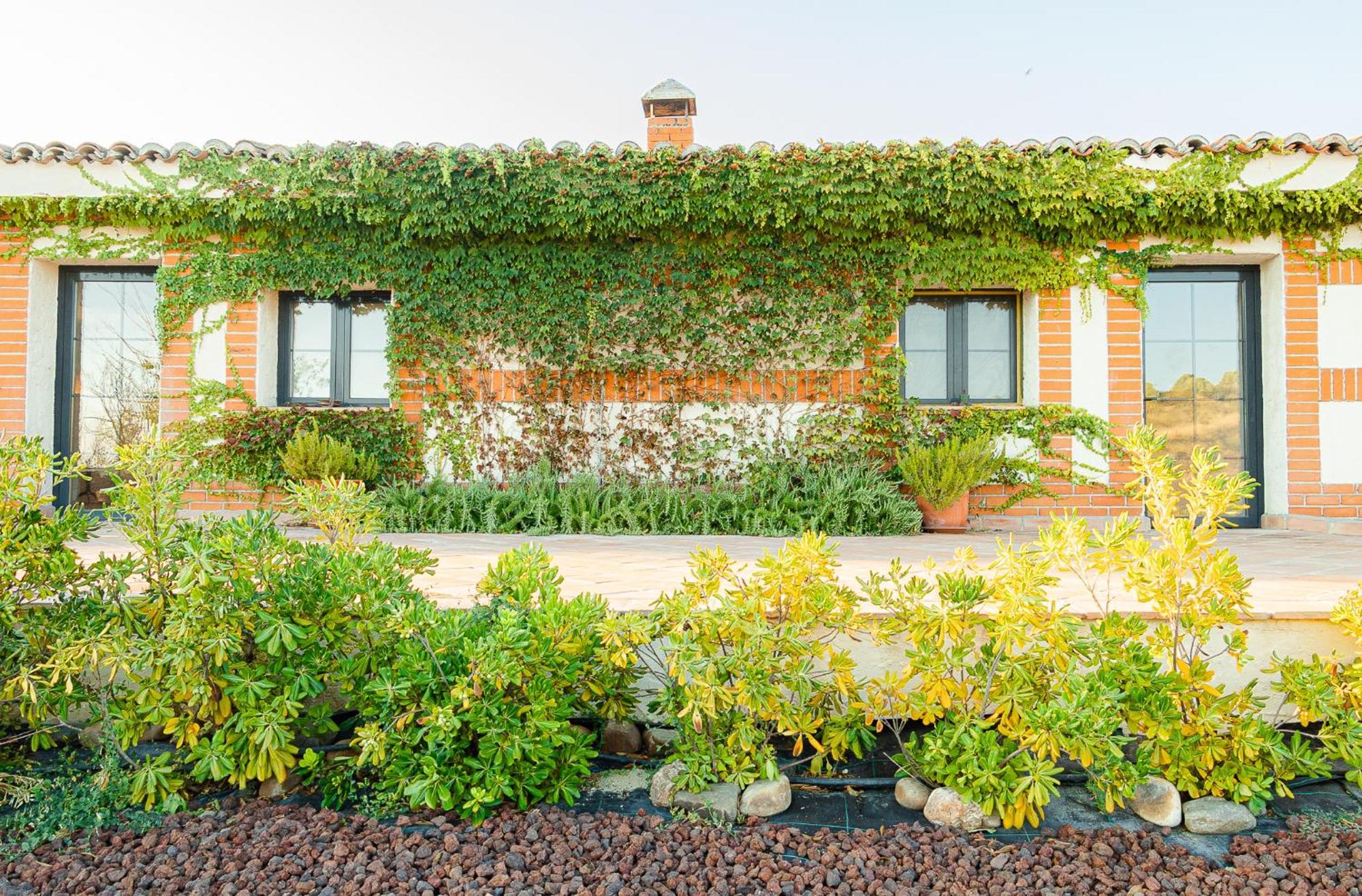 A 30 Min Del Puy De Fou Y Toledo Con Piscina, Bbcoa, Ac, Free Wifi, Jardin, Terraza Con Magnificas Vistas Villa Chozas de Canales Exterior photo